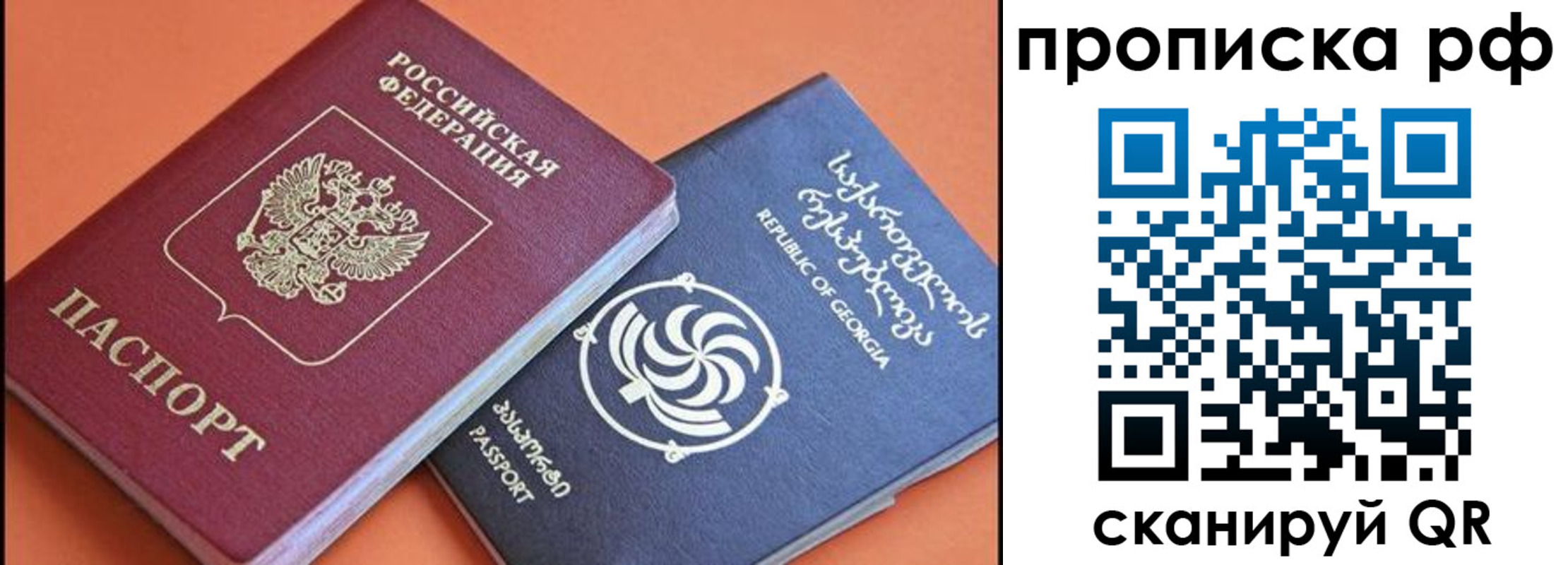 прописка поиск в Бабаево